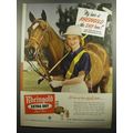 1951 Rheingold Beer Ad - Elise Gammon - Polo