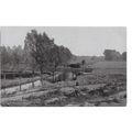 River Cann, Chelmsford, Essex, RP Postcard.