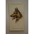 1929 John Player & Sons Dogs Heads No. 1 Alsati...