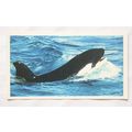 1988 Players Doncella The Living Ocean No. 30 K...