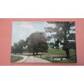 Early Postcard - Cyclist's Rest - Trentham, Sto...