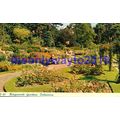 Kingsnorth Gardens, Folkstone, Kent, Greaves Po...