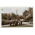 Peoples Gardens, Phoenix Park, Dublin, Ireland,...