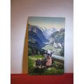 girl with goats, LAUTERBRUNNEN VALLEY, SWITZERL...