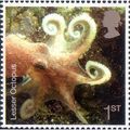 Great Britain 2007 Sea Life 1st Lesser Octopus ...