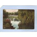 New Jersey Plainfield Green Brook & Willows~2765