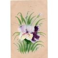 Hand Painted Postcard Purple Orchids
