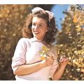 Marilyn Monroe vintage print Apple Blossom post...