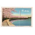 VINTAGE LINEN POSTCARD JAPANESE CHERRY BLOSSOM ...