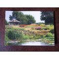 GB Pensthorpe Millennium Garden 2010 used postc...