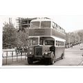Black & White Photograph of Plymouth Corporatio...