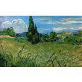 Vincent Willem van Gogh - Picture (25) Poster C...