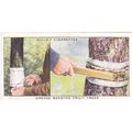 Wills Garden Hints Card No. 37 Grease Banding F...