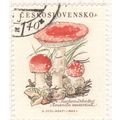 Czech 1958 - 1.40h multi - Amanita muscaria - used