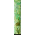 TWO PACK: Yajna Nag Champa, Mother's India Frag...