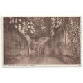 The Entrance Drive Warwick Castle Postcard 3477