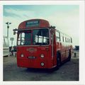 Bus Photo London Transport RF RF444 MXX421