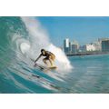 Durban Surf and Skyline South Africa Postcard u...