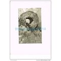 THANN, THE SORCERERS EYE, FRANCE, BOOK ILLUSTRA...