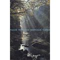 D026379 The Fairy Glen. Betws y Coed. Dixon