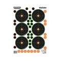 5-PACK Champion 37 Pasters 6 Bullseyes 25yd Sma...