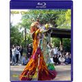 Walt Disney World Florida Part 42 -Parades (Par...