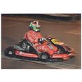 Dario Franchitti Indycar Race Champion Karting ...