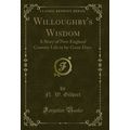 Willoughby's Wisdom: A Story of New England Cou...