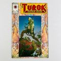 Comic Book - Turok: Dinosaur Hunter #1 (Vol 1 N...