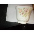 INDOOR PLANT HOLDERE POT CERAMIC (09/01)