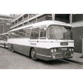 Black & White Photograph of Ribble Motor Servic...