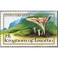 Lesotho QEII 1983 Fungi 75s Lentinus tuber-regi...
