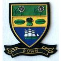 HAND EMBROIDERED IRISH COUNTY - DOWN - COLLECTO...