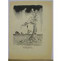 THE ANIMALS YOU KNOW....' A RACKHAM, Book Illus...