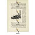 Water-Tower & Cannon, London, Book Illustration...