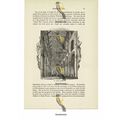 St Alban's Abbey, Interior, Herts, Book Illustr...
