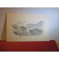 GLEN SANNOX, ISLE OF ARRAN in pencil. unused vi...