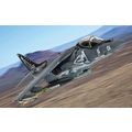 HARRIER II 165001/01 VMA-214 "BLACK SHEEP" - CO...