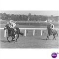 PRESS PHOTO HIGH SOCIETY G Oldroyd Sandown 1973