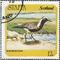 STAFFA, BIRD, Black-bellied plover, yellow 1976...