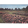 Royal Botanic Gardens Kew(nice slogan) Middless...