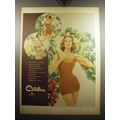 1957 Catalina Swimsuits Ad - Water Witchery, Cable Crossing, Record Breaker