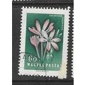 HUNGARY 1958 FLOWERS 60f USED SG1522
