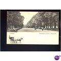 LONDON Kensington Gardens Broadwalk Postcard by...