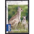 Australia 2009 SG 3219 Used - Fauna/Kangaroos (...