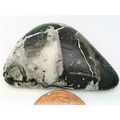 Fossil Stone Marble Freeform Gemstone Cabochon 251
