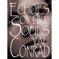 A Julie Madigan Thriller Echoes Of Like Souls