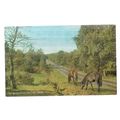 THE BOURNEMOUTH ROAD, NEW FOREST. unused vintag...
