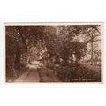 By Wood and Stream near Leven Postcard RP Fife ...