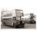 Black & White Photograph of Thames Valley Tract...
